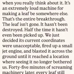 Leaf Blowers