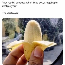 The Destroyer