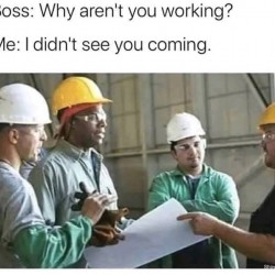 Why?