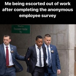 Employee Survey