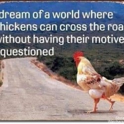 Chickens
