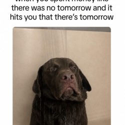 Tomorrow