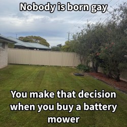 Decisions