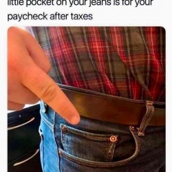 Paycheck