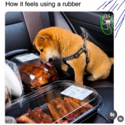 Wearing A Rubber