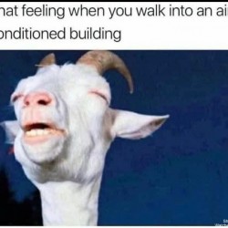 Ahhh