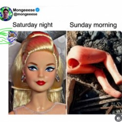 Sunday Morning