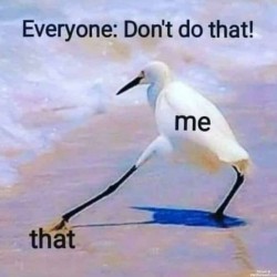 Don’t Do That