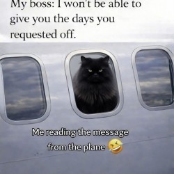 Request Rejected