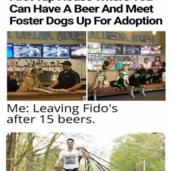 Fido’s