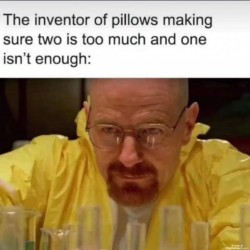 Pillow Inventors