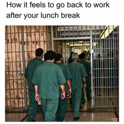 Back To Work