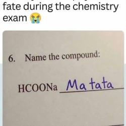 Fate Accepted