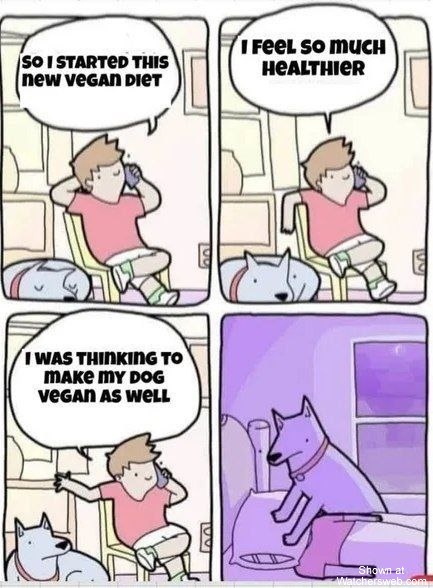 Vegan Diet #0