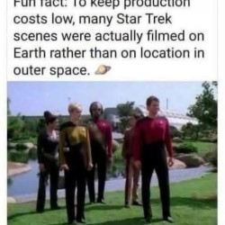 Fun Fact