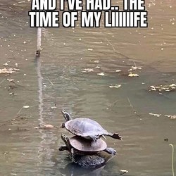 And I Owe It All To You