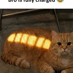 Fully Charged