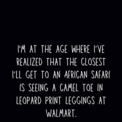 African Safari