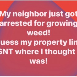 Clever