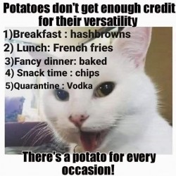 Potatoes