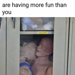 That Looks Like Fun