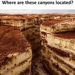 Anyone?