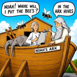 Noah's Ark