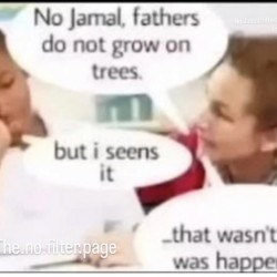 Don't Shoot The Messenger