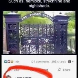 But Do They?