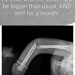 Ouch