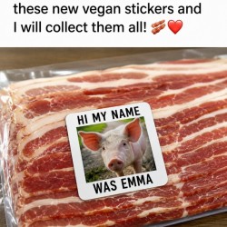Vegan Stickers