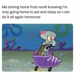Repeat