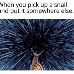 Relocating A Snail
