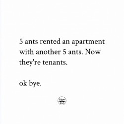 Ants