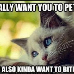 Pet Me