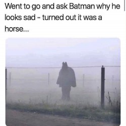 Why So Sad?