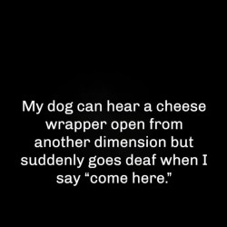 Come Here