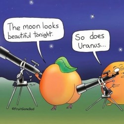 The Moon