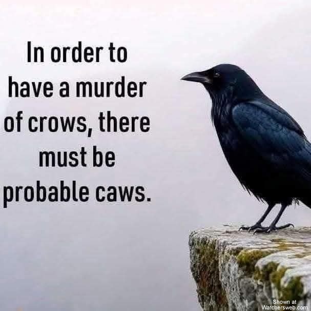 Probable Caws #0