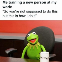 Training The New Person