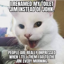 I Go To The Jim