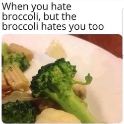 Broccoli