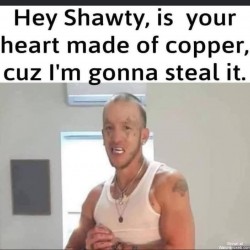 Hi Shawty