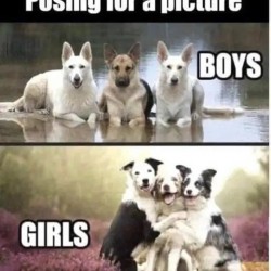 Posing For A Picture