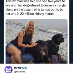 Dating Service