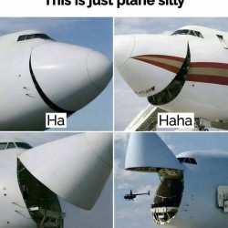 Plane Silly