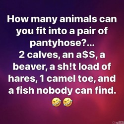 Pantyhose