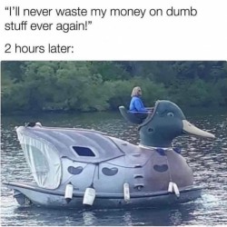 Never Again
