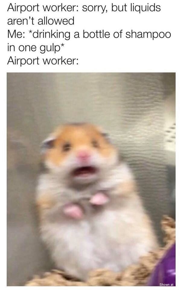 Airport Worker #0