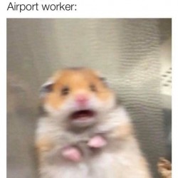 Airport Worker